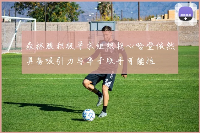 森林狼积极寻求组织核心哈登依然具备吸引力与华子联手可能性