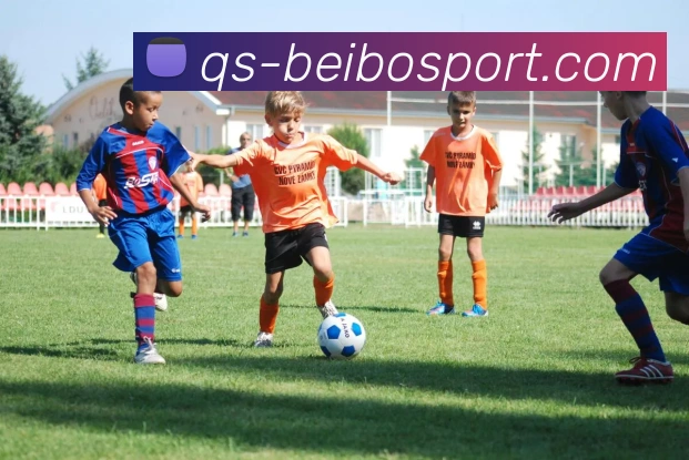 贝博足球服务体系