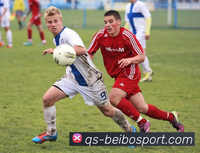 贝博足球APP 体育赛事宣传图