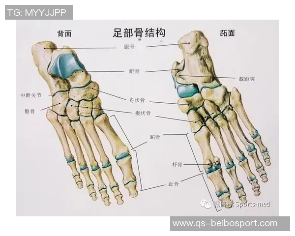 弗兰克谈小卡伤情揭示脚踝问题背后的复杂性与脚部损伤情况